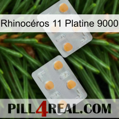 Rhinocéros 11 Platine 9000 25